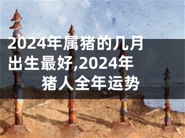 2024年属猪的几月出生最好,2024年猪人全年运势