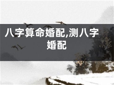 八字算命婚配,测八字婚配