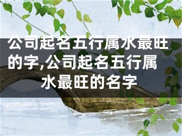 公司起名五行属水最旺的字,公司起名五行属水最旺的名字