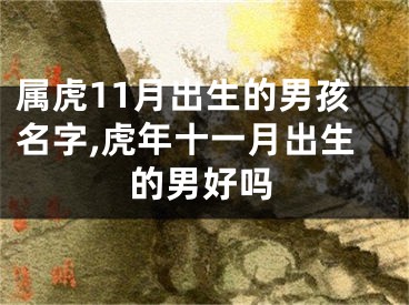 属虎11月出生的男孩名字,虎年十一月出生的男好吗