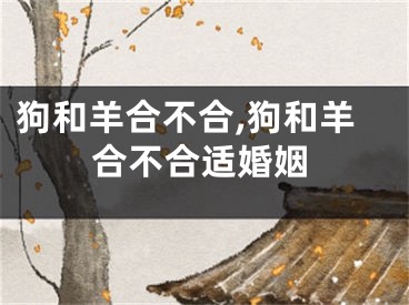 狗和羊合不合,狗和羊合不合适婚姻