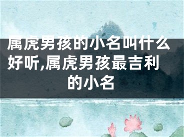 属虎男孩的小名叫什么好听,属虎男孩最吉利的小名