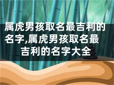 属虎男孩取名最吉利的名字,属虎男孩取名最吉利的名字大全