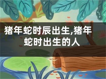 猪年蛇时辰出生,猪年蛇时出生的人