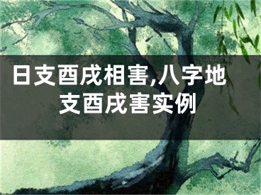 日支酉戌相害,八字地支酉戌害实例