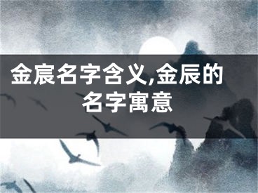金宸名字含义,金辰的名字寓意