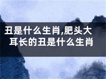 丑是什么生肖,肥头大耳长的丑是什么生肖