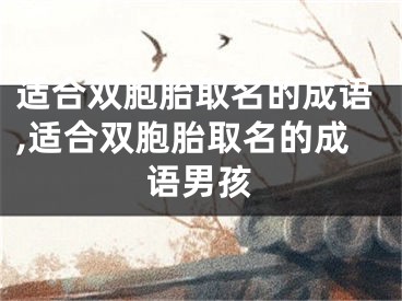 适合双胞胎取名的成语,适合双胞胎取名的成语男孩
