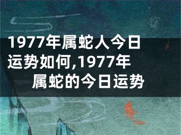 1977年属蛇人今日运势如何,1977年属蛇的今日运势