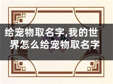 给宠物取名字,我的世界怎么给宠物取名字
