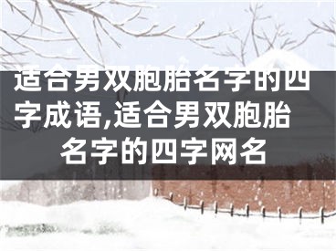 适合男双胞胎名字的四字成语,适合男双胞胎名字的四字网名