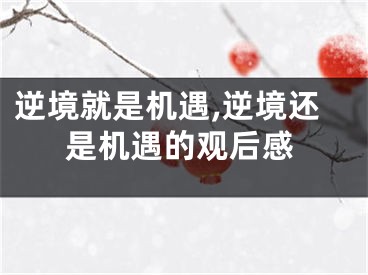 逆境就是机遇,逆境还是机遇的观后感