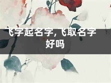 飞字起名字,飞取名字好吗