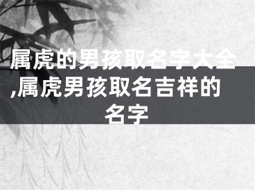 属虎的男孩取名字大全,属虎男孩取名吉祥的名字