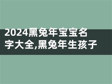 2024黑兔年宝宝名字大全,黑兔年生孩子