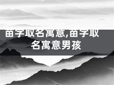 苗字取名寓意,苗字取名寓意男孩