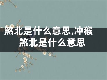煞北是什么意思,冲猴煞北是什么意思
