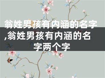 翁姓男孩有内涵的名字,翁姓男孩有内涵的名字两个字