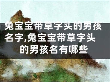 兔宝宝带草字头的男孩名字,兔宝宝带草字头的男孩名有哪些