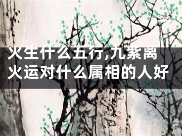 火生什么五行,九紫离火运对什么属相的人好