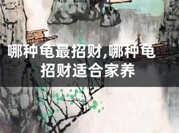 哪种龟最招财,哪种龟招财适合家养