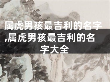 属虎男孩最吉利的名字,属虎男孩最吉利的名字大全