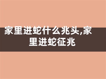 家里进蛇什么兆头,家里进蛇征兆