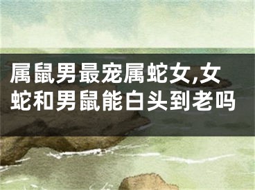 属鼠男最宠属蛇女,女蛇和男鼠能白头到老吗
