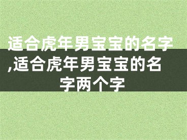 适合虎年男宝宝的名字,适合虎年男宝宝的名字两个字