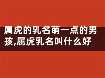 属虎的乳名萌一点的男孩,属虎乳名叫什么好