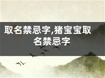 取名禁忌字,猪宝宝取名禁忌字