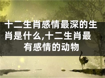 十二生肖感情最深的生肖是什么,十二生肖最有感情的动物