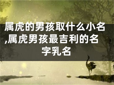 属虎的男孩取什么小名,属虎男孩最吉利的名字乳名