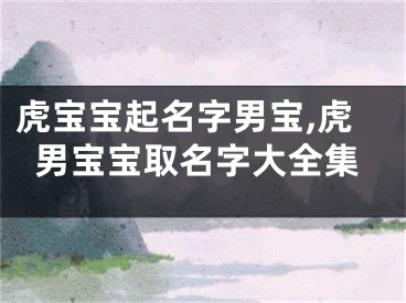 虎宝宝起名字男宝,虎男宝宝取名字大全集