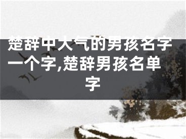 楚辞中大气的男孩名字一个字,楚辞男孩名单字