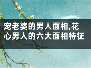 宠老婆的男人面相,花心男人的六大面相特征
