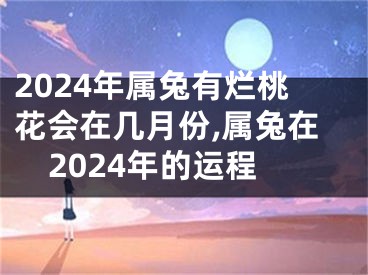2024年属兔有烂桃花会在几月份,属兔在2024年的运程