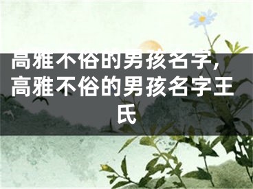 高雅不俗的男孩名字,高雅不俗的男孩名字王氏