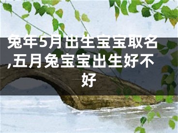 兔年5月出生宝宝取名,五月兔宝宝出生好不好