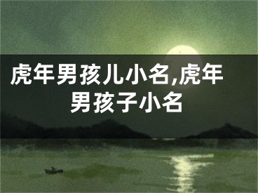 虎年男孩儿小名,虎年男孩子小名