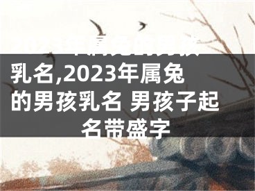 2023年属兔的男孩乳名,2023年属兔的男孩乳名 男孩子起名带盛字