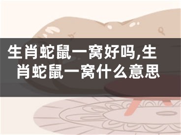 生肖蛇鼠一窝好吗,生肖蛇鼠一窝什么意思