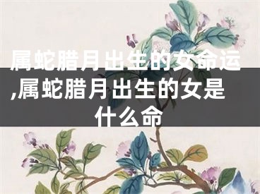 属蛇腊月出生的女命运,属蛇腊月出生的女是什么命