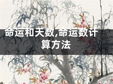 命运和天数,命运数计算方法