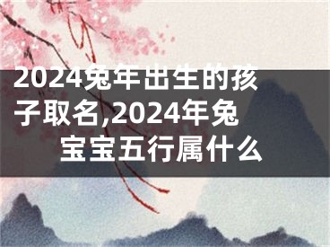 2024兔年出生的孩子取名,2024年兔宝宝五行属什么
