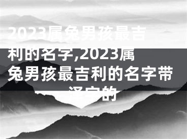 2023属兔男孩最吉利的名字,2023属兔男孩最吉利的名字带泽字的