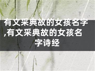 有文采典故的女孩名字,有文采典故的女孩名字诗经