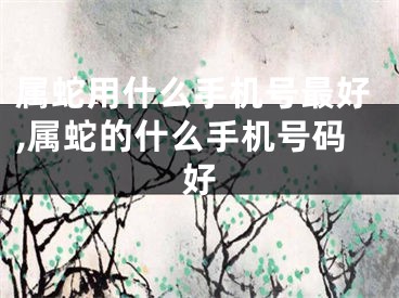 属蛇用什么手机号最好,属蛇的什么手机号码好