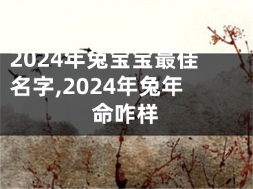 2024年兔宝宝最佳名字,2024年兔年命咋样
