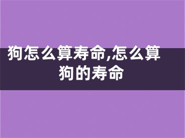 狗怎么算寿命,怎么算狗的寿命